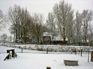 Winter 2002_6